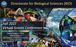 Fall 2021 Virtual Grants Conference: Directorate for Biological Sciences (BIO)